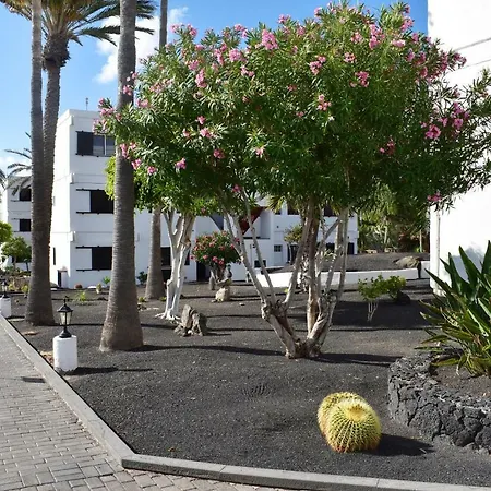 Costa Luz 3.3 * Puerto del Carmen (Lanzarote)